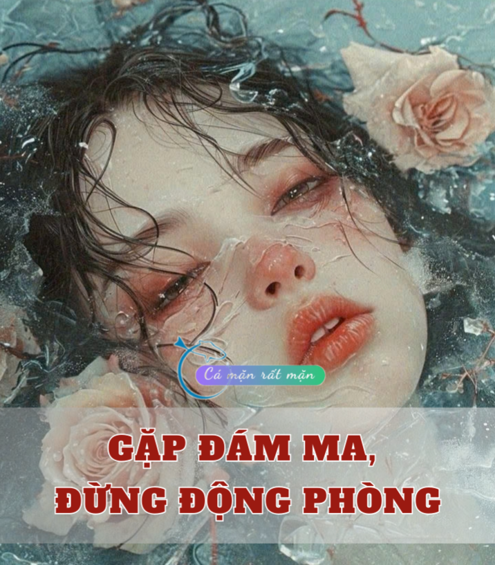 Gặp Đám Ma, Đừng Động Phòng